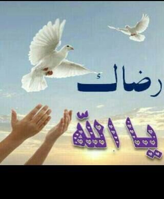 اللهم بلغنا ليله القدر لا فاقد ولا مفقودين