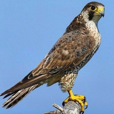 ‏☆..تابعني اتابعك..☆