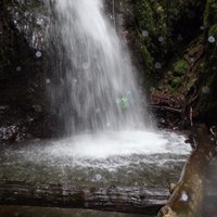 Morgane Gibert (@morgane_gibert) 's Twitter Profile Photo