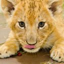 Aaron cano - @Aaroncano28Aa - Twitter