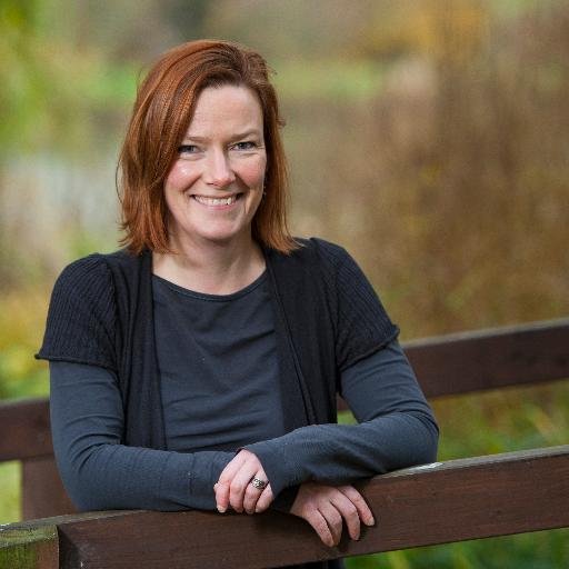Professor of Environmental Psychology