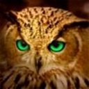 Charlene King - @Charlen88567511 - Twitter