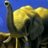 CindyLa80432433's profile image