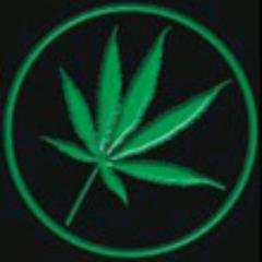 Cynthia90709326's profile picture. 