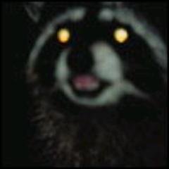 DebNevala4's profile picture. 