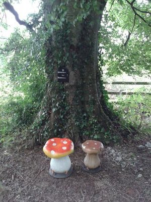 daze2910's profile picture. 