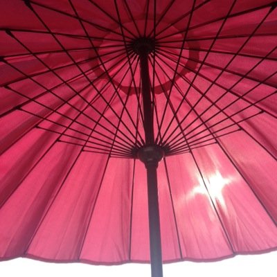 lucie kenward Profile