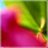 JenBroo68172298's profile image