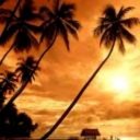 Josh Johns - @JoshJohns8 - Twitter