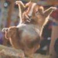 KaraRowe8 Profile Picture