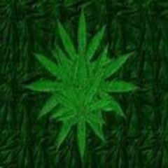 Kristen78172298's profile picture. 