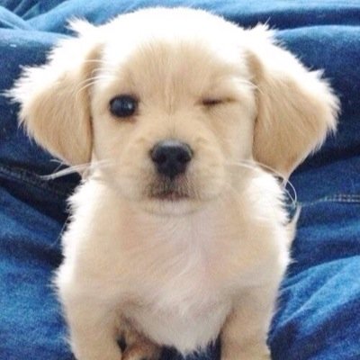 Aurel2229's profile picture. 🌈You just work on it, and leave the rest to time.💕