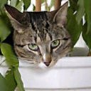 Missy Alexander - @MissyAlexande16 - Twitter