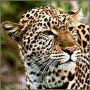 Nelson Mosley - @NelsonMosley10 - Twitter