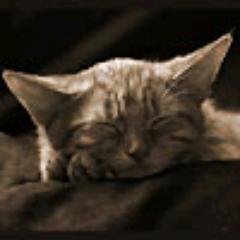 RandyFischer14's profile picture. 