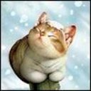 Ron Pearl - @RonPearl2 - Twitter