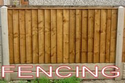 bettafences's profile picture. 