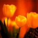 Ryan Overturf - @RyanOverturf5 - Twitter