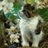 Shannon99975314's profile image
