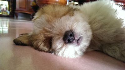 LongVansak's profile picture. 