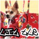 Cindy Dalton - @arspicsublo1988 - Twitter