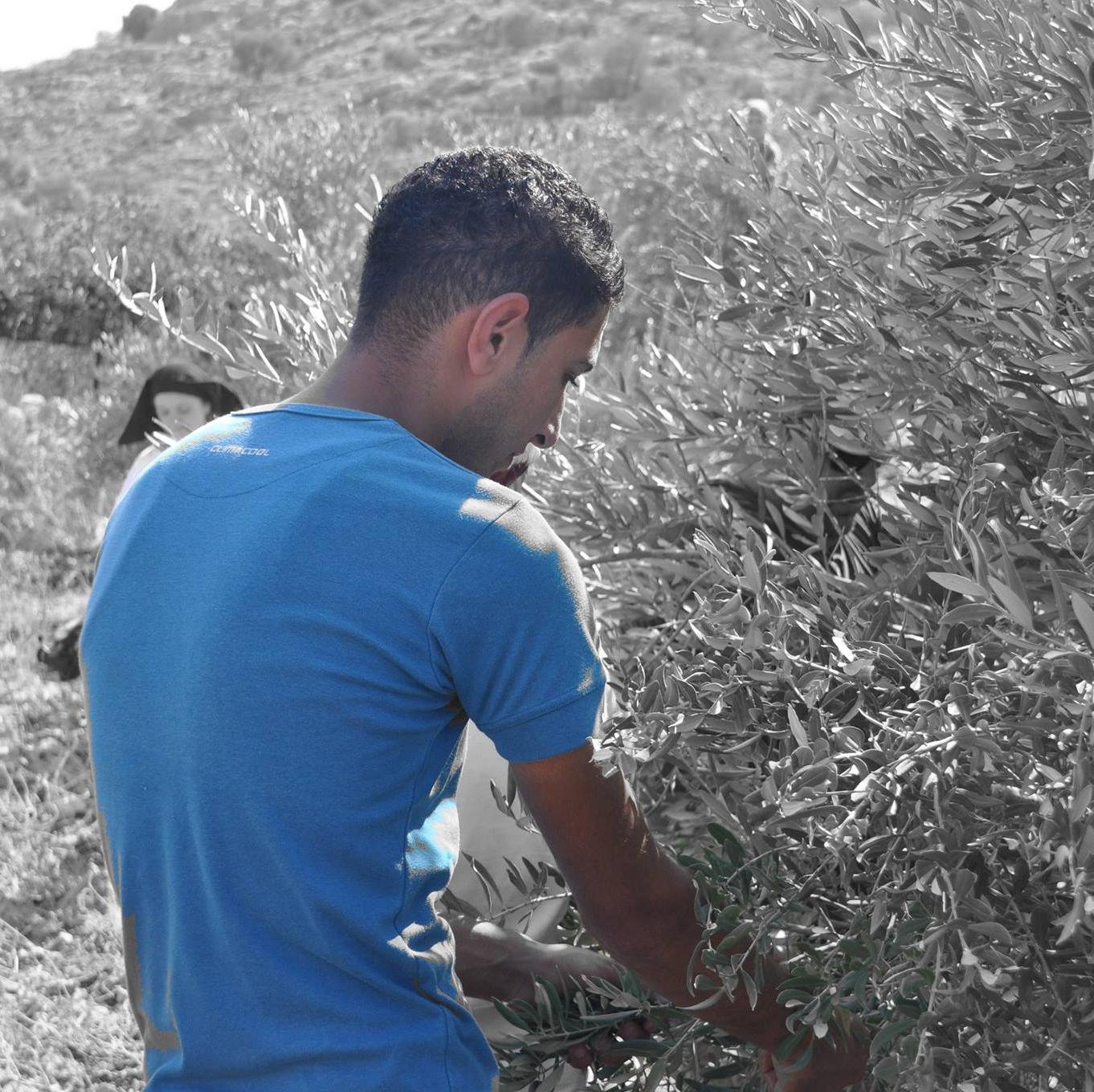 AhmedQawas's profile picture. 