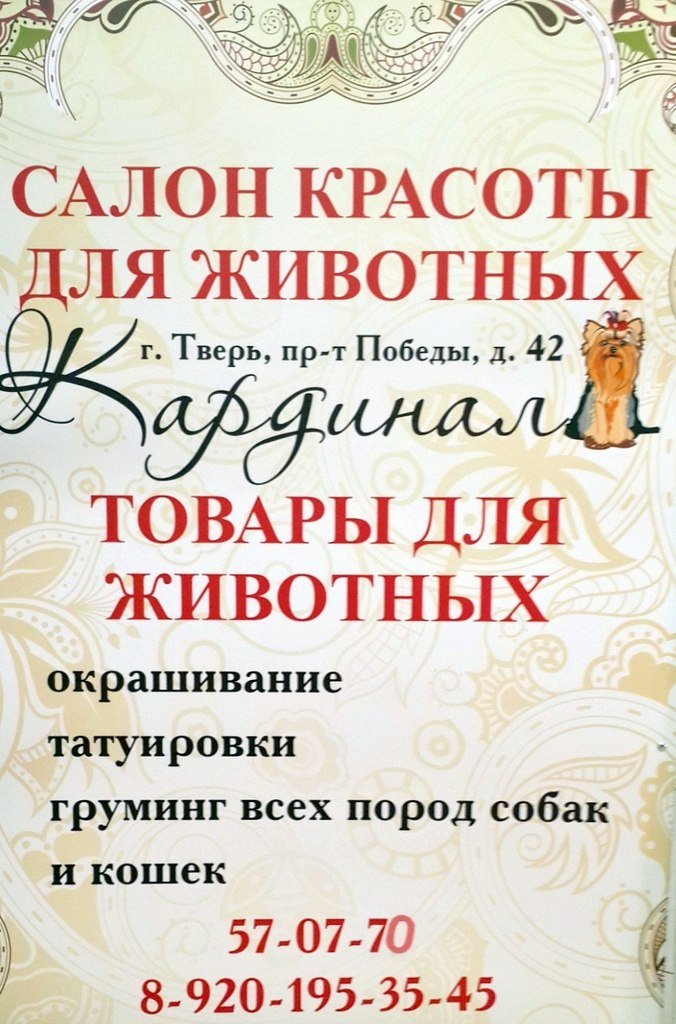kardinaltver's profile picture. 