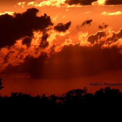 Amatrice de photographie (87). 
Besoin d'avis et de conseils. 
N'hésitez pas à venir visiter ma page Facebook.