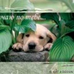 dramuncomli1986's profile picture. 