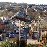 Carrigaline BA (@carrigalineba) 's Twitter Profile