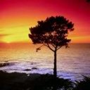 Roger Power - @finasikcess1976 - Twitter