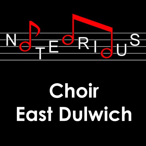 We're a choir of about 40 adults who enjoy singing contemporary and fun songs in a relaxed environment. We rehearse on Monday nights above a pub in London SE22.