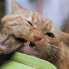 garner_deb's profile picture. 