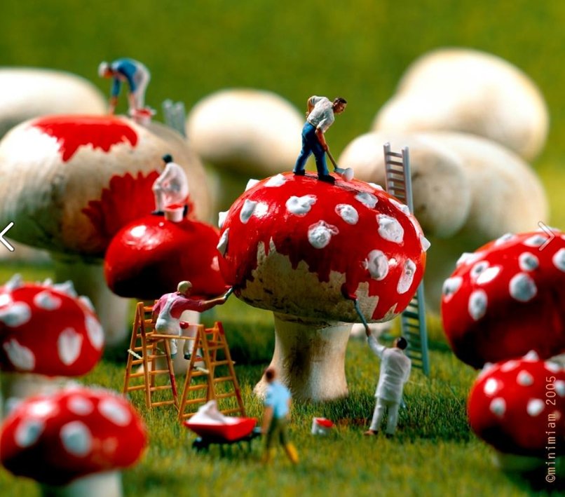 Saujonge's profile picture. 