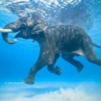 brayden_biboi (@biboibrayden1) 's Twitter Profile