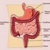 Your Intestines (@yourintestines) Twitter profile photo Your Intestines (@yourintestines) Twitter profile photo