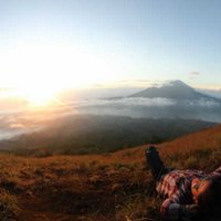 steven hutomo (@stevenhutomo) 's Twitter Profile