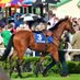 Tramore Racecourse (@tramoreraces) Twitter profile photo Tramore Racecourse (@tramoreraces) Twitter profile photo