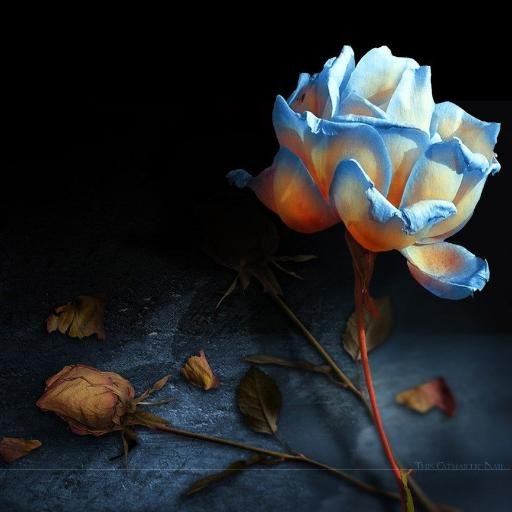 •♥•Just be yourself and good things will happen•♥•