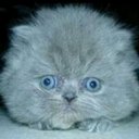 Wayne Wilcox - @WayneWilcox5 - Twitter