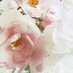 Pembs Wedding Fair (@pembweddingfair) Twitter profile photo