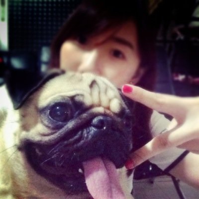 pamlovespam's profile picture. 