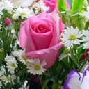سهام جرادات (@059781) Twitter