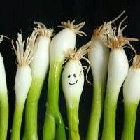 happy_veggie's profile picture. Vegetarian, vegan & ethical news, views and info. Spreading the love for people who care about animals and care about the environment.