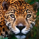 Stacie Keith - @mbk101202 - Twitter