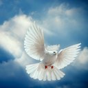 Dottie. Ray - @ray_dottie - Twitter