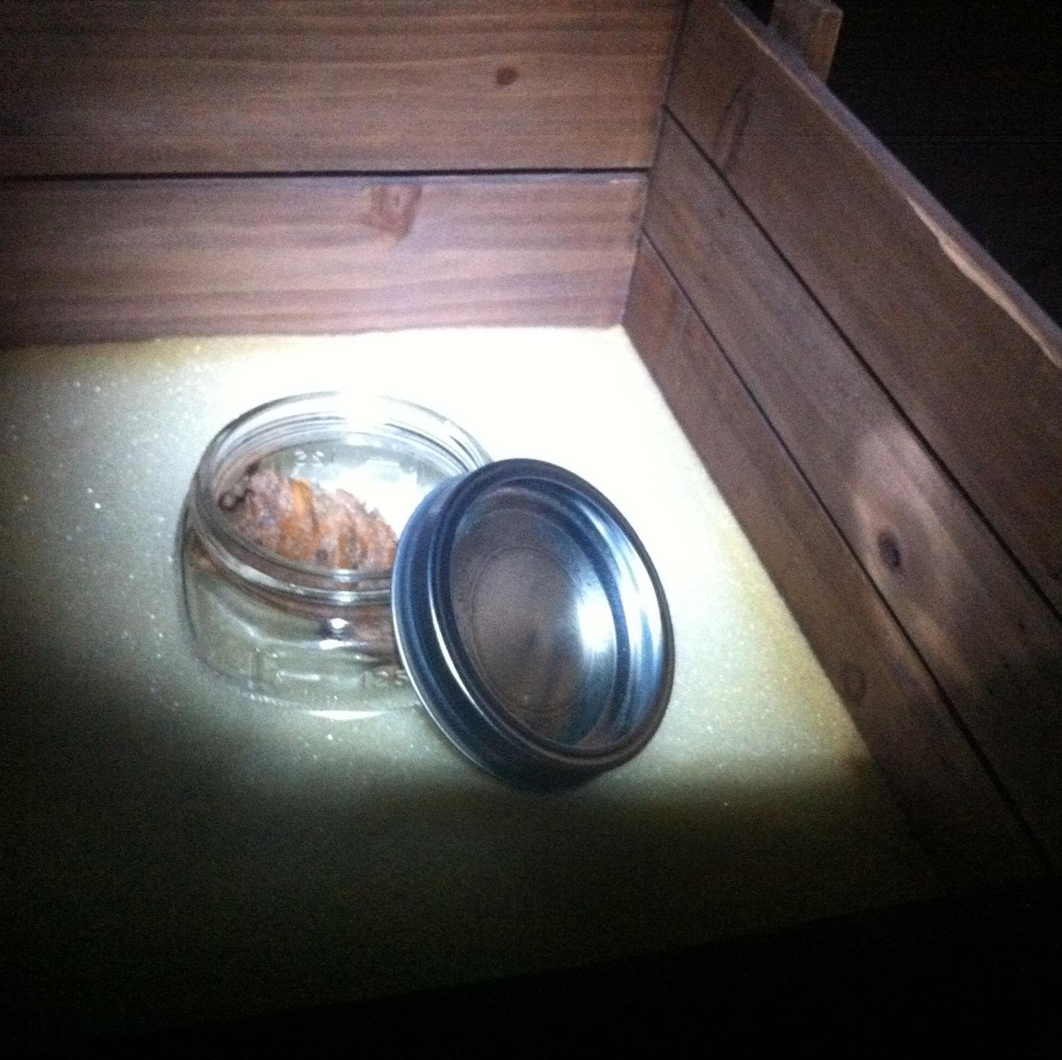 HauntedLeaf's profile picture. #hauntedleaf     Then,it happened. About 1/2 way back thru the quiet, peaceful (seeming) woods, I got the feeling that someone / something was following me...