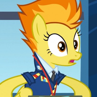 Captain of the aerial acrobatics group, the Wonderbolts.