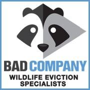 badcowildlife's profile picture. 100% Humane, urban wildlife eviction and animal proofing experts.