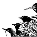 Marty Schmidt - @MartyMcFearless - Twitter